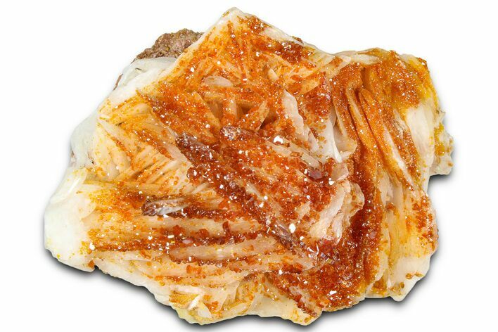 Glittering Ruby Red Vanadinite Crystals on Barite - Morocco #365789